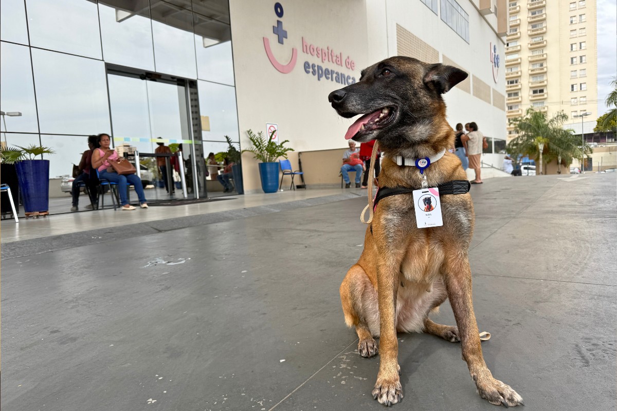 foto Not&iacute;cia Bauru