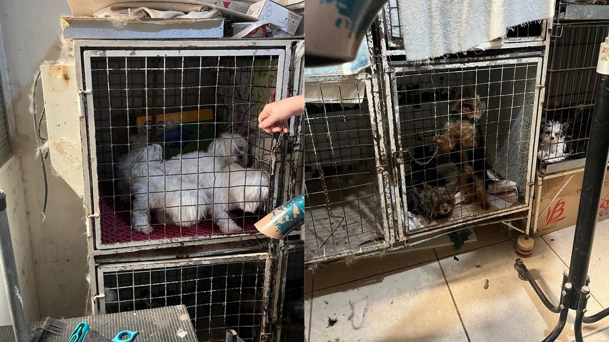 foto Not&iacute;cia Bauru