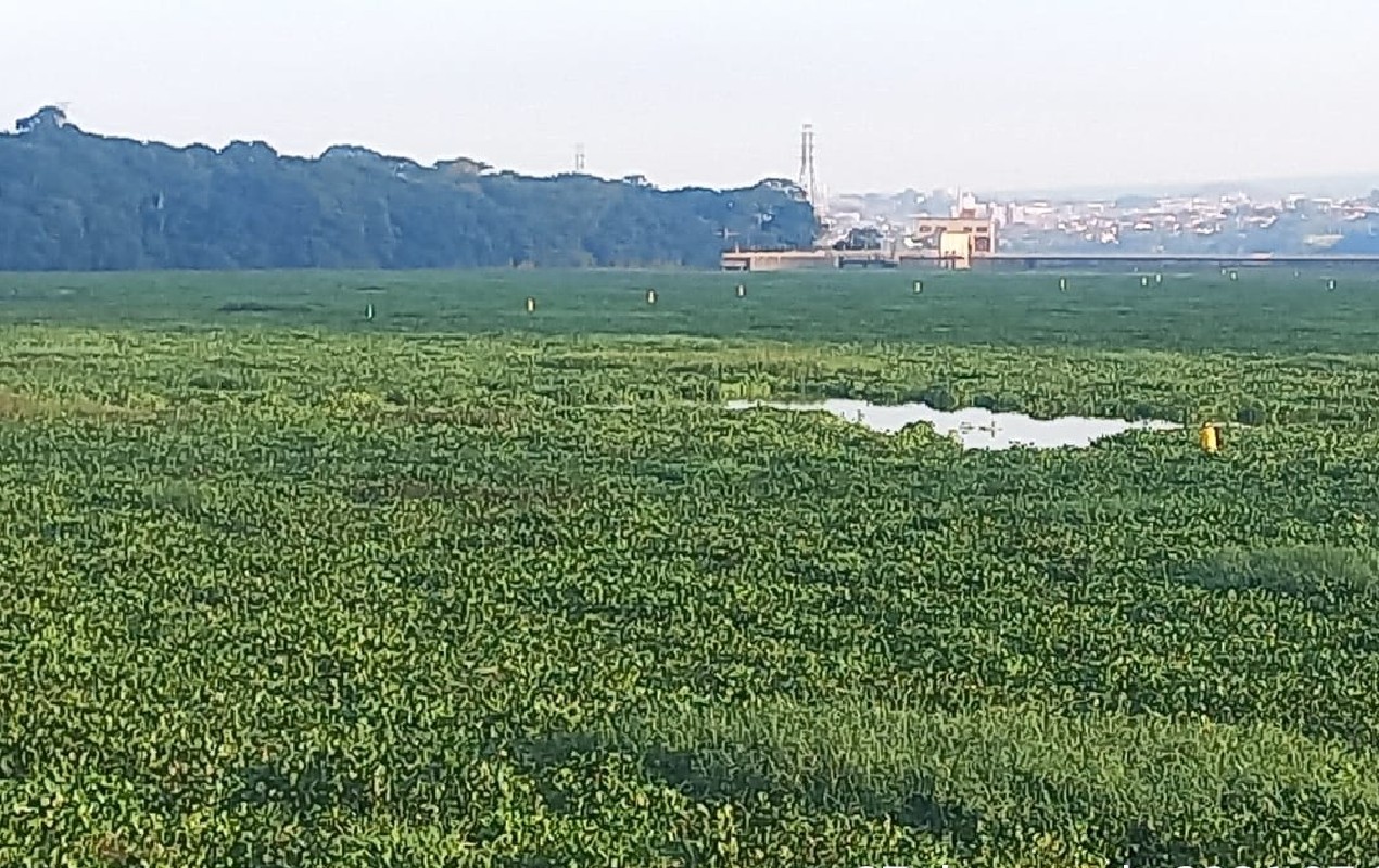 foto Not&iacute;cia Bauru